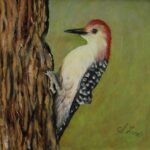 Woodpecker